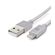 Cabo-Lightining-MFi-para-USB-Nylon-1.2m-Silver-|-Goldentec