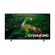 Smart-TV-65--Samsung-Crystal-UHD-4K-65CU8000-2023-Processador-Crystal-4K-Tizen-60Hz-Preto